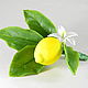 Yellow Lemon Boutonniere, Boutonnieres, Moscow,  Фото №1