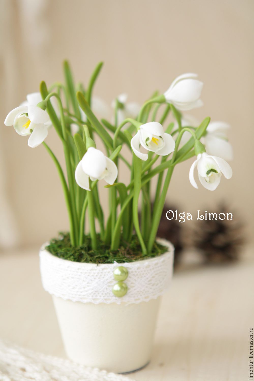 �������� � ������� ���� �������