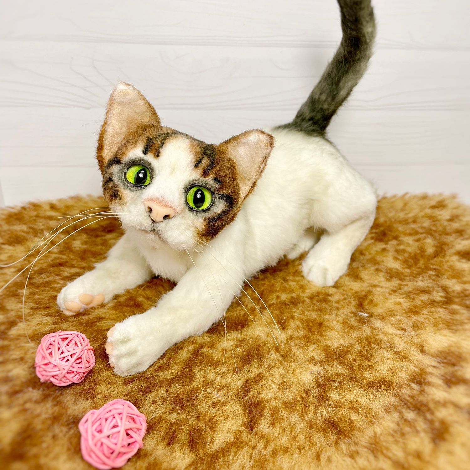 Кошки плюшевый эльф. Журналы с котиками плюшевыми. Котенок Бася. Плюшевый кот порода. Плюшевые котята порода.