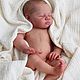 Торс! JUNIPER от Andrea Arcello. Куклы Reborn. Knopkadoll. Ярмарка Мастеров.  Фото №14