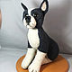 Order felt toy: Boston Terrier Fill. colorlight (colorlight). Livemaster. . Felted Toy Фото №3