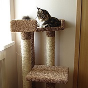 Комплекс для кошек  "Высота" (подходит крупным кошкам)