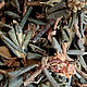 Саган Дайля (с цветом). Растения. Белое крыло | Керамика, чай и травы.. Интернет-магазин Ярмарка Мастеров.  Фото №2