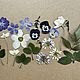 Цветы сухие для гербария и заливки смолой. Первоцветы, Цветы сухие и стабилизированные, Боровск,  Фото №1