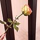 Роза Эсперанс. Цветы. 'Цветочный рай' Цветы из полимерной глины. Марина Петрик. (petrikmarina). Ярмарка Мастеров.  Фото №4