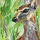 Fawn, summer painting, oil painting on canvas. Pictures. myfoxyart (MyFoxyArt). Online shopping on My Livemaster.  Фото №2