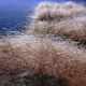 Носки женские из собачьей шерсти. Носки. Warm Yarn. Ярмарка Мастеров.  Фото №5