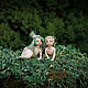 Заказать Малыши-улитлы, миниатюрные жители волшебного сада. severiana.dolls. Ярмарка Мастеров. . Мини фигурки и статуэтки Фото №3