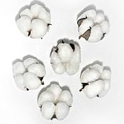 Материалы для творчества handmade. Livemaster - original item Cotton flowers bolls dried natural. Handmade.