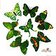 Бабочки "Зеленые". Scrapbooking Elements. Oksana. Online shopping on My Livemaster.  Фото №2