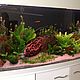 Decoration for aquarium Sunken ship. Accessories for Pets. author's ceramics. Online shopping on My Livemaster.  Фото №2