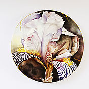 Painted porcelain. Decorative plate 
