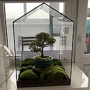 Цветы и флористика handmade. Livemaster - original item Florarium House for bonsai. Handmade.