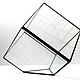 The Floriana. Interior Floriana for plants.Cube. Decoration for flower pots. Glass Flowers. My Livemaster. Фото №6