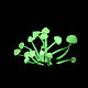 Decorative mushrooms glowing in the dark. Miniature plants and flowers. asbaik (asbaik). Online shopping on My Livemaster.  Фото №2