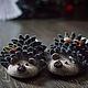 Felted slippers for women Hedgehogs, hedgehogs, Slippers, Chelyabinsk,  Фото №1