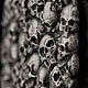 Order Leather belt 'Many skulls' nickel silver. apanasovru. Livemaster. . Straps Фото №3