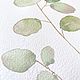 Order 'A sprig of eucalyptus' watercolor, flowers, plants. Nadezda Perova. Livemaster. . Pictures Фото №3
