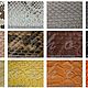 Shoes made of Python ERFOLLE. Shoes. Exotic Workshop Python Fashion. My Livemaster. Фото №4