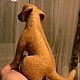 Родезийский риджбек Ариф. Войлочная игрушка. Чудо на ладони (chudo-na-ladony). Ярмарка Мастеров.  Фото №4