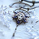  ' Daughter of Winter'. Necklace. House Of The Moon Dew. My Livemaster. Фото №5
