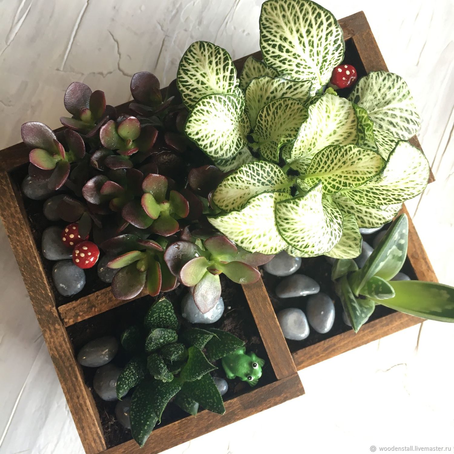 Цветочная композиция с суккулентами (цветы в коробке, суккуленты) в ...