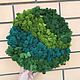 Picture of stabilized moss 30 cm, Pictures, Belgorod,  Фото №1