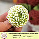Order Silicone soap mold Chrysanthemum 'Santini' mini. myfavoriteforms (myfavoriteforms). Livemaster. . Form Фото №3
