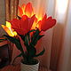 Тюльпаны светящиеся, Наборы для фотосессий, Нижний Новгород,  Фото №1