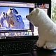 Медведь игрушка полярный вязаный мишка. Мягкие игрушки. Ольга Куприянова. Приятные мелочи. (olgapretties). Ярмарка Мастеров.  Фото №4