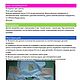 Заказать Выкройка и МК курточки для куклы Baby born. Елена Кропочева. Ярмарка Мастеров. . Выкройки для кукол и игрушек Фото №3