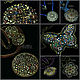 Sunny Pendant (576) designer jewelry. Pendant. Svetlana Parenkova (parenkova). My Livemaster. Фото №15