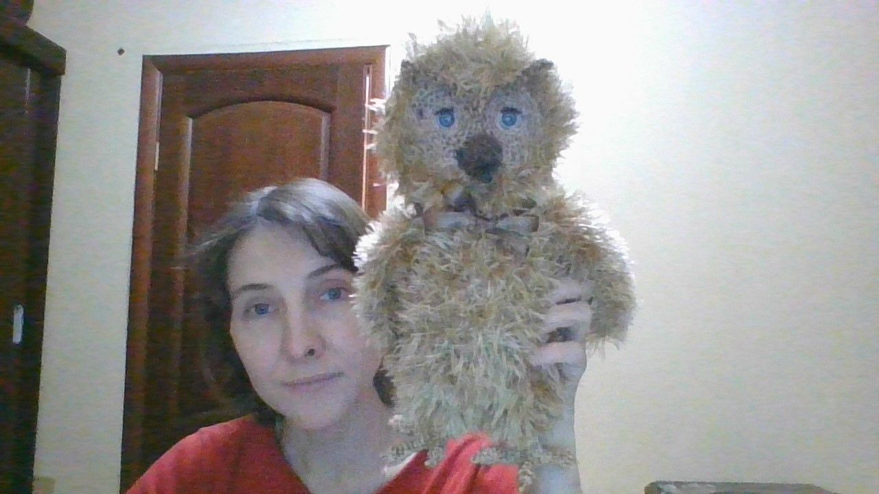 Не только вязаные вещи, но и игрушки. Совёнок