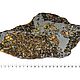 Заказать Метеорит Сеймчан 244гр. MeteoritеStyle. Ярмарка Мастеров. . Элементы интерьера Фото №3
