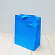 Пакет бирюзовый подарочный, 23*18*10, голубой ламинированный картон, Пакеты, Москва,  Фото №1