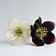 Hairpins black and white hellebore, Hairpin, Cheboksary,  Фото №1