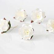 Материалы для творчества handmade. Livemaster - original item Paper flowers for scrapbooking white apple tree flowers,1pc. Handmade.