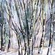Watercolor. morning in a birch forest, Pictures, Moscow,  Фото №1