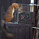 Squirrel feeders transparent ' Perfection'. Bird feeders. Art bird feeder. My Livemaster. Фото №6