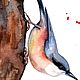 Поползень, птица, оригинальная акварель птицы леса 21х29 см. Картины. Анна Горынина. Ярмарка Мастеров.  Фото №4