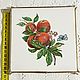 Заказать Винтаж: Винтажная подставка под горячее, Villeroy Boch, Германия 70 гг. Love&Vintage. Ярмарка Мастеров. . Кухонная утварь винтажная Фото №3