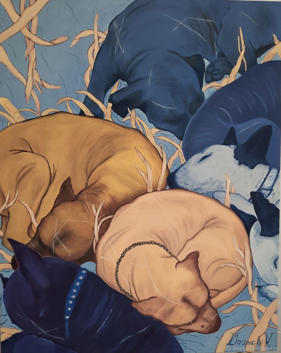 Собаки спящие, бультерьеры, лабрадоры, Картины, Новосибирск,  Фото №1