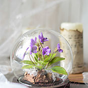 Цветы и флористика handmade. Livemaster - original item Interior arrangement with wild violets. Handmade.