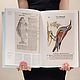Винтаж: Научная иллюстрация. Science illustration XL, Книги винтажные, Москва,  Фото №1