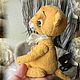 Котятки-тигрятки (путешественники). Мягкие игрушки. Лариса Харина. Ярмарка Мастеров.  Фото №4