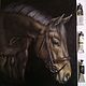 Painting Portrait of a horse 50*60 cm. Pictures. Ermolaeva Olesya. My Livemaster. Фото №6
