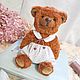 Мишка Топтыжка. Тедди. Мишки Тедди. STRUZHKA_Teddy_  (bayova). Ярмарка Мастеров.  Фото №5