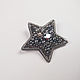 Brooch silver Star, embroidered with beads and pearls. Brooches. Zveva. Online shopping on My Livemaster.  Фото №2