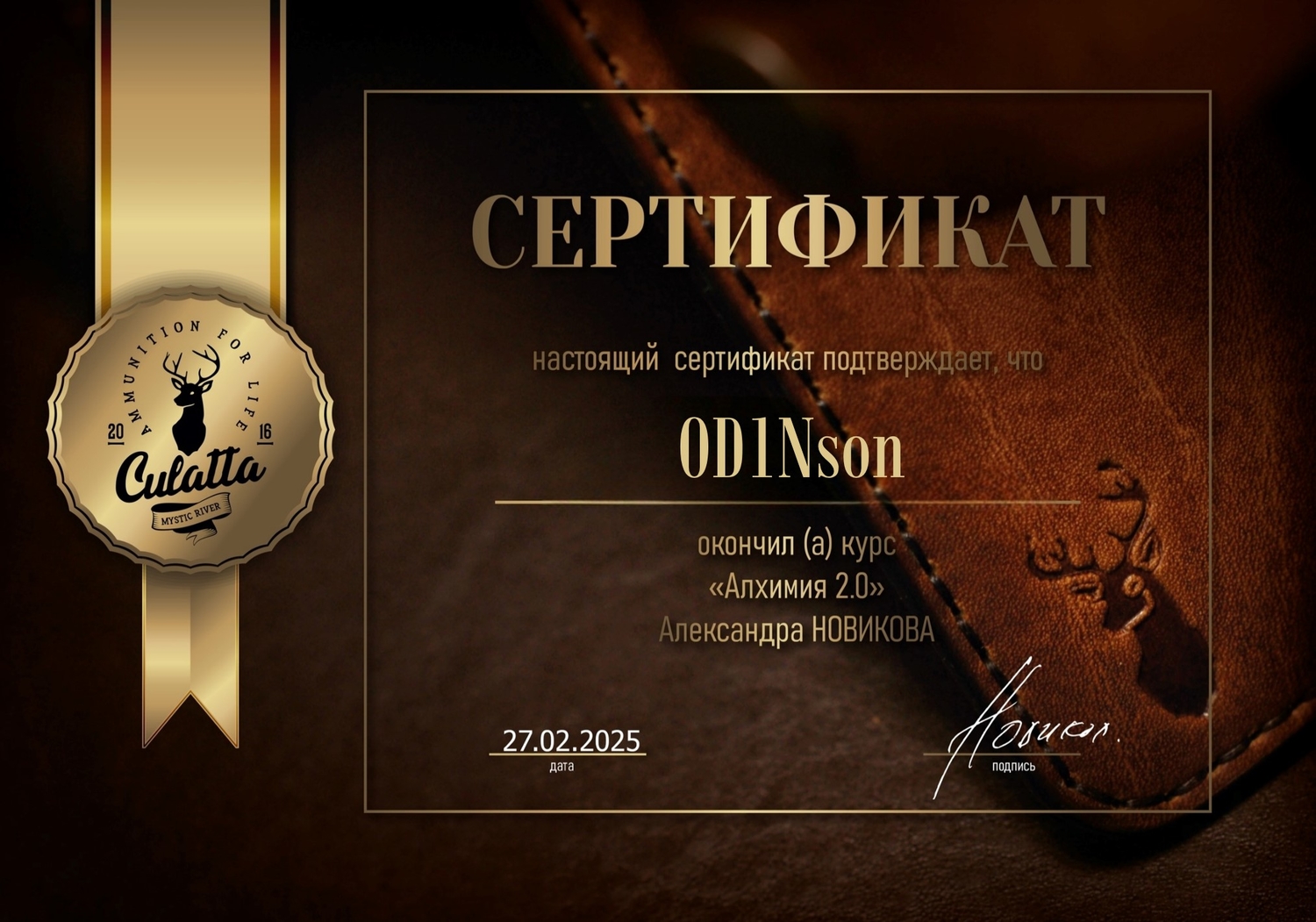 Мой профиль