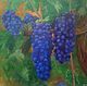 Картина маслом Пейзаж с виноградом Синий виноград, Картины, Новокузнецк,  Фото №1